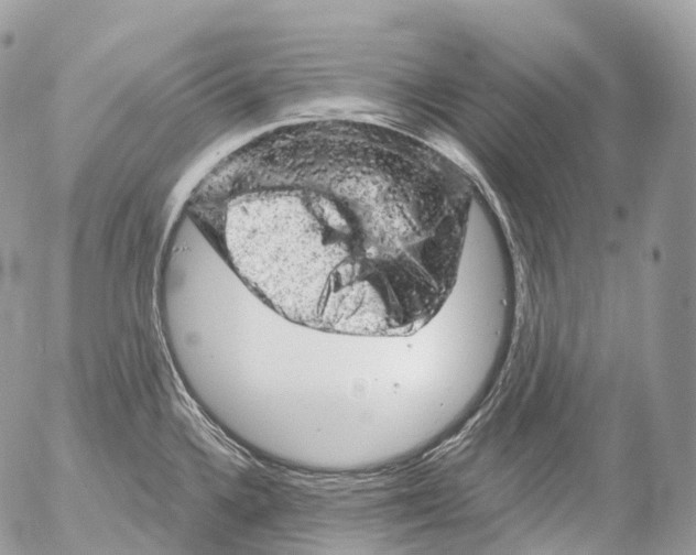 X0000052641336200507292255