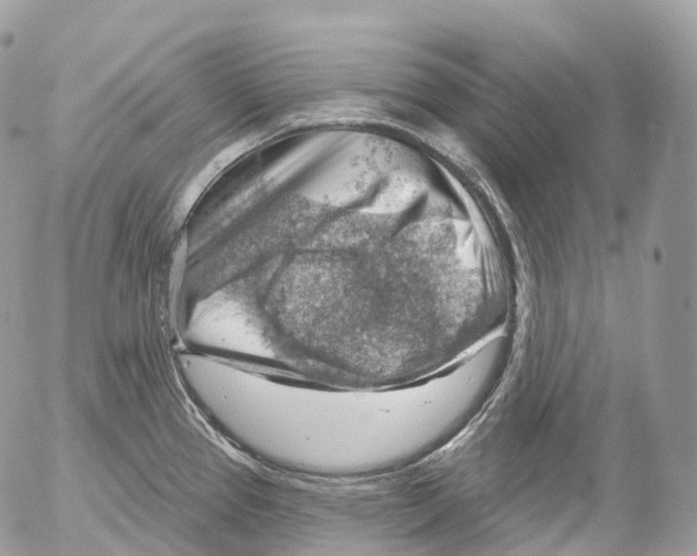 X0000052641337200507292255