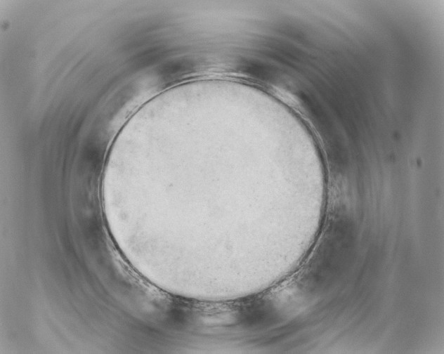 X0000052641338200507292255