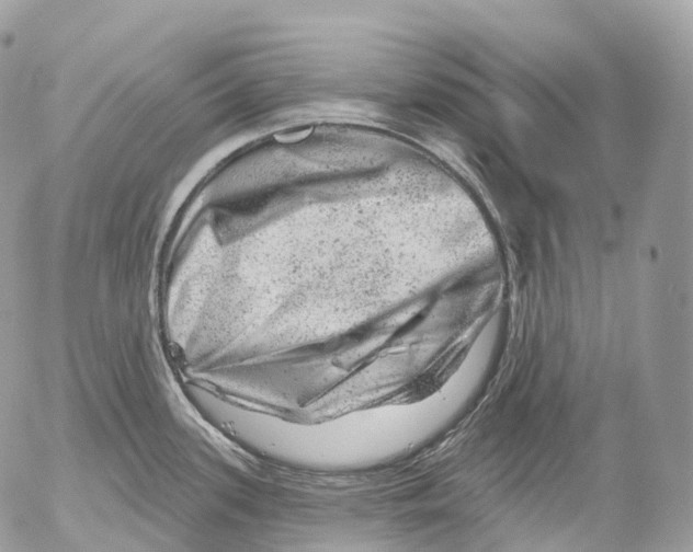 X0000052641339200507292255