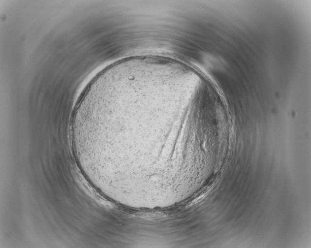 X0000052641340200507292255