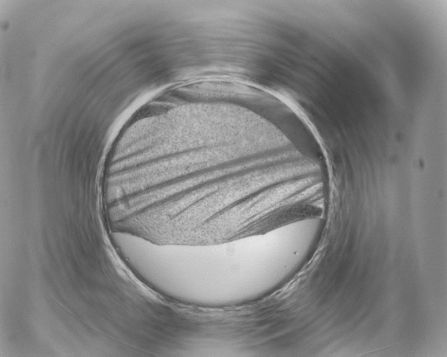 X0000052641341200507292255