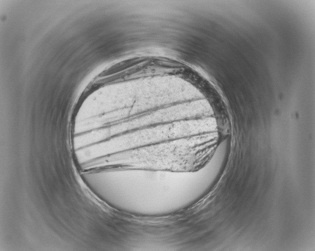 X0000052641342200507292255