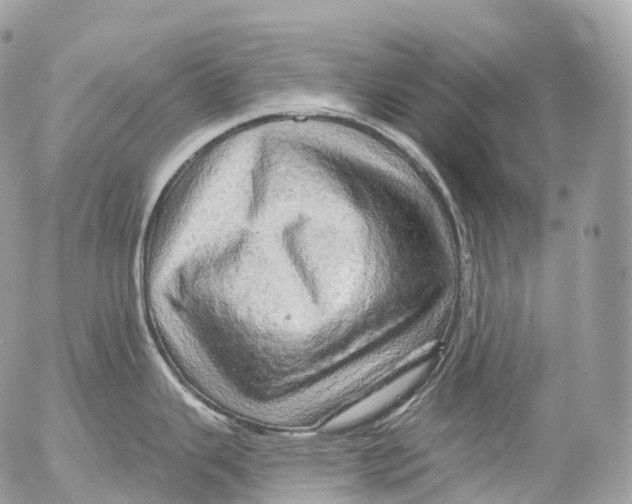 X0000052641343200507292256