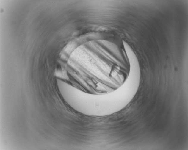 X0000052641345200507292255