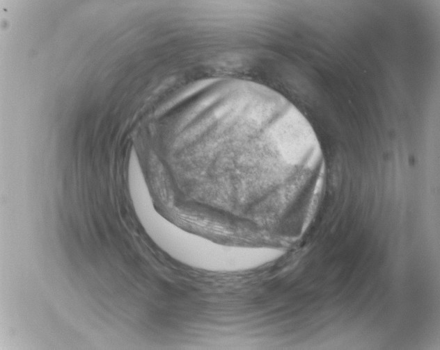 X0000052641346200507292255