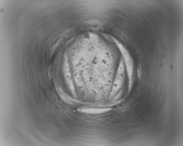 X0000052641347200507292255