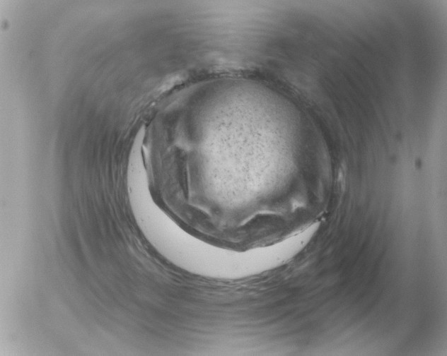 X0000052641348200507292255