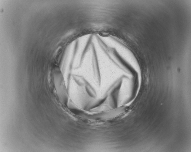 X0000052641349200507292255