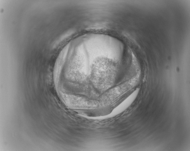 X0000052641350200507292255