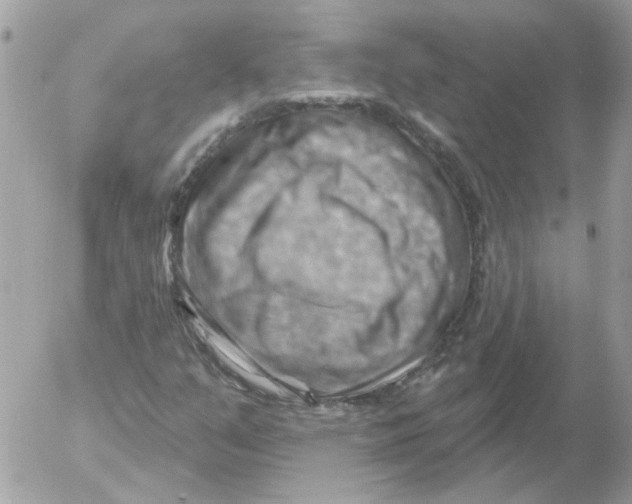 X0000052641351200507292255