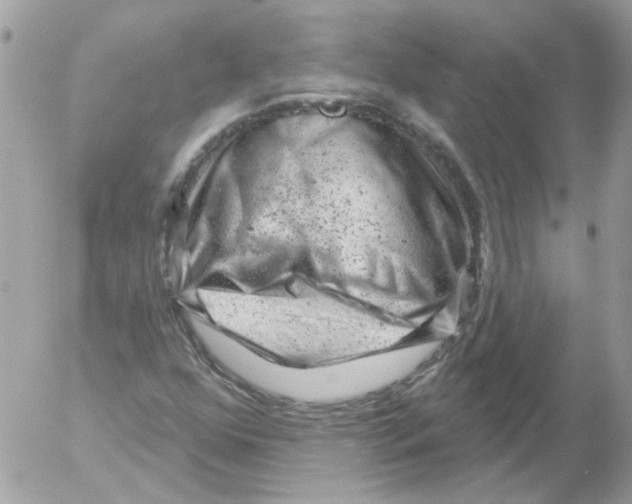 X0000052641352200507292255