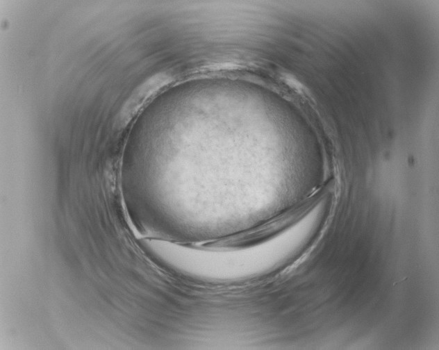 X0000052641353200507292255