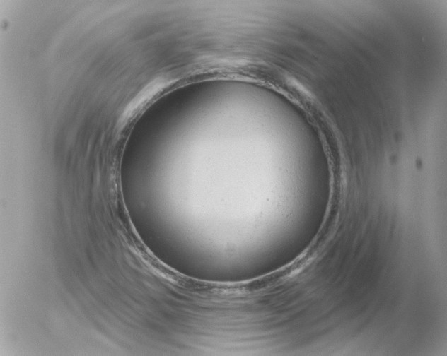 X0000052641354200507292255