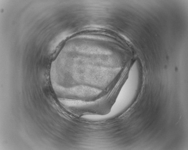 X0000052641355200507292255