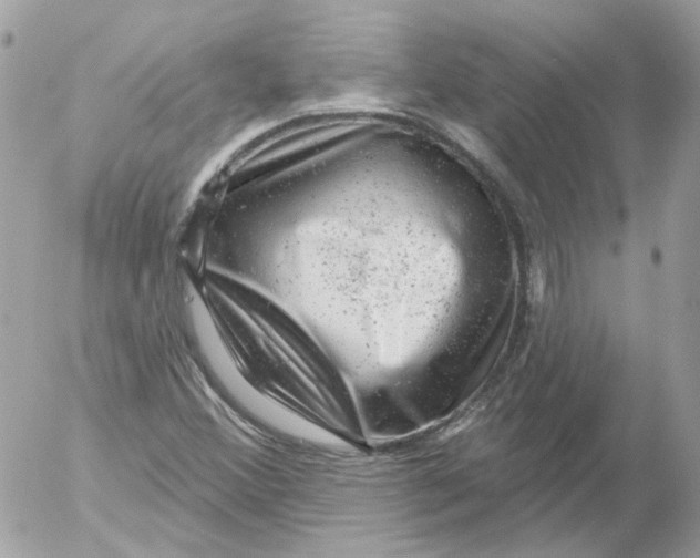 X0000052641356200507292255