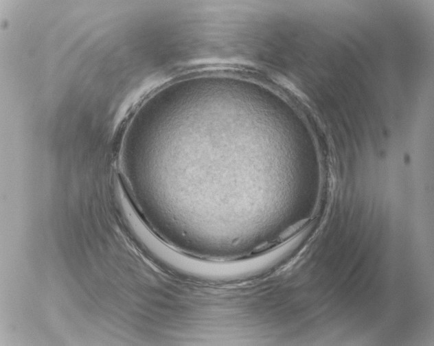 X0000052641357200507292255