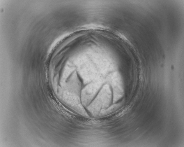 X0000052641358200507292255