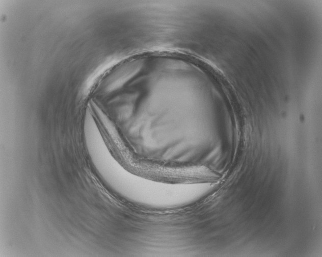 X0000052641359200507292255