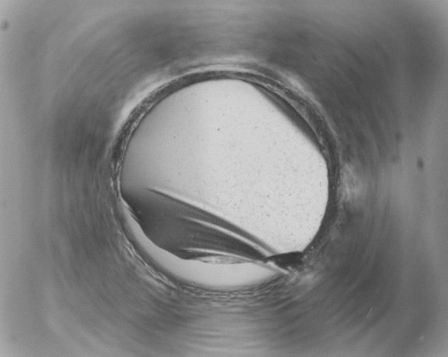 X0000052641360200507292254