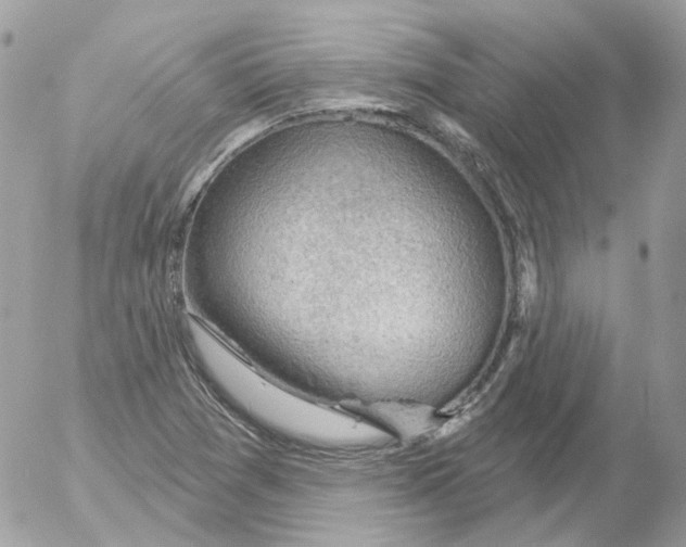 X0000052641361200507292254