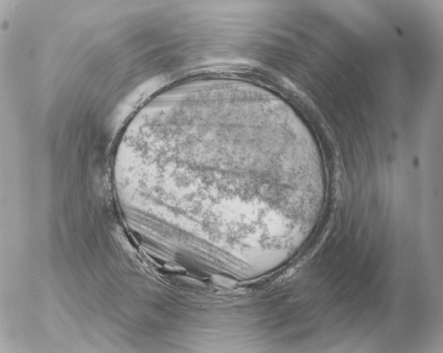 X0000052641362200507292254