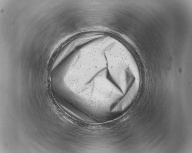 X0000052641364200507292254