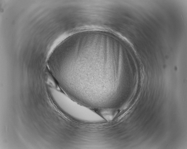 X0000052641365200507292254