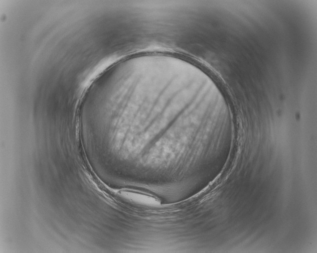 X0000052641367200507292254