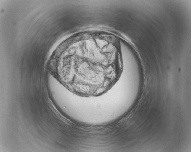 X0000052641368200507292254