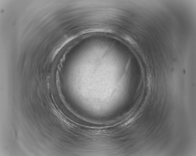 X0000052641369200507292254