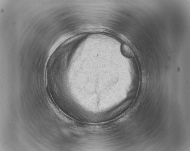 X0000052641370200507292254