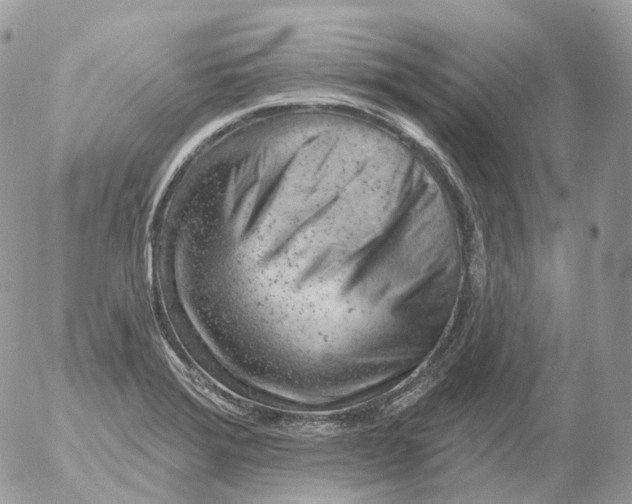 X0000052641372200507292254