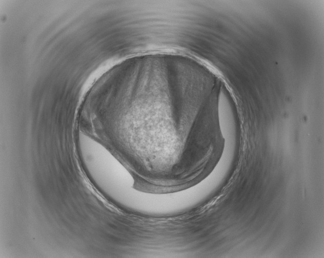 X0000052641373200507292254