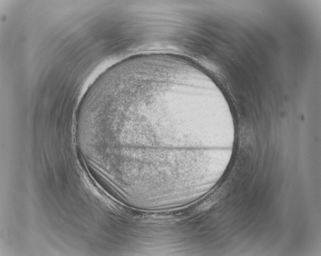 X0000052641374200507292254