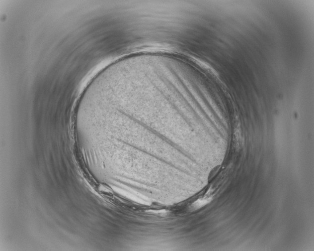 X0000052641375200507292254