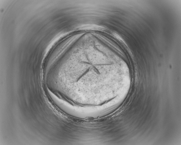 X0000052641376200507292254