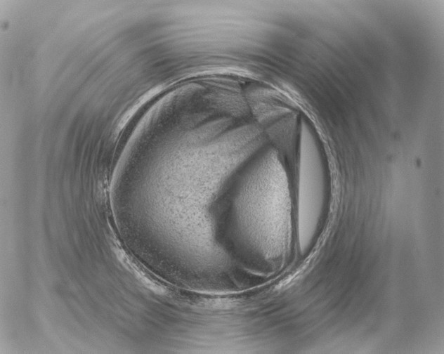 X0000052641377200507292254