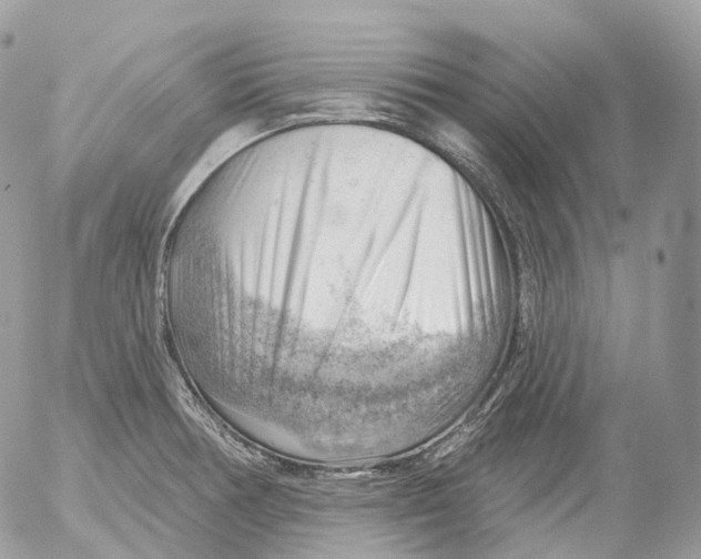 X0000052641378200507292254