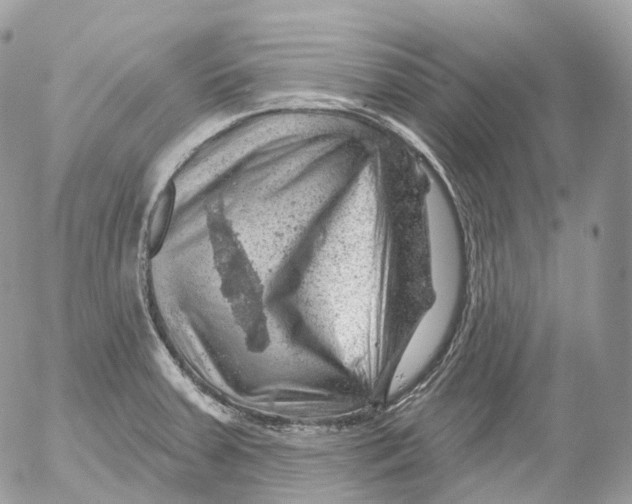 X0000052641379200507292254