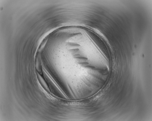 X0000052641380200507292254