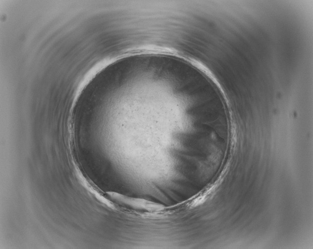 X0000052641381200507292254