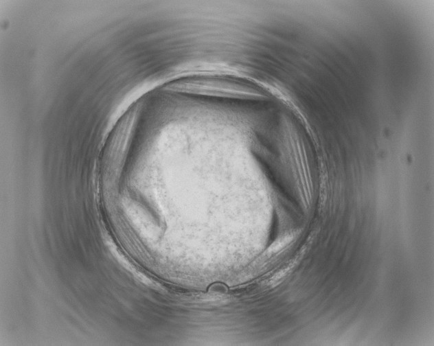 X0000052641382200507292254