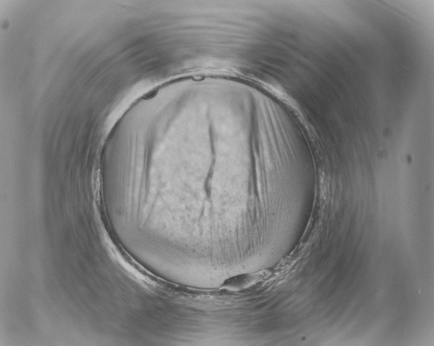 X0000052641383200507292254