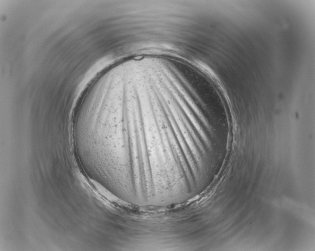 X0000052641384200507292254