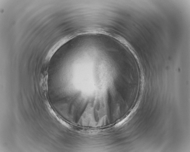 X0000052641385200507292254