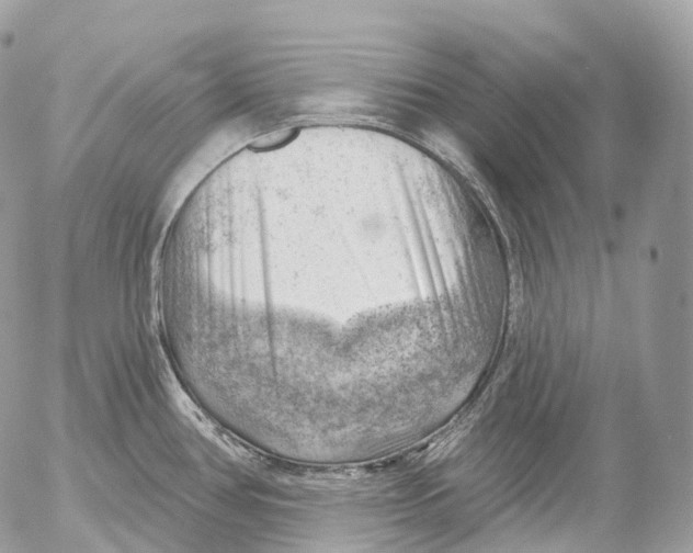 X0000052641386200507292254