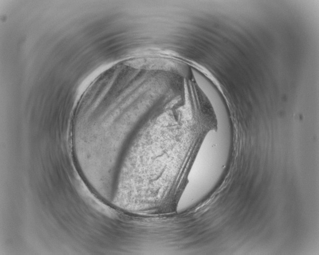 X0000052641387200507292254