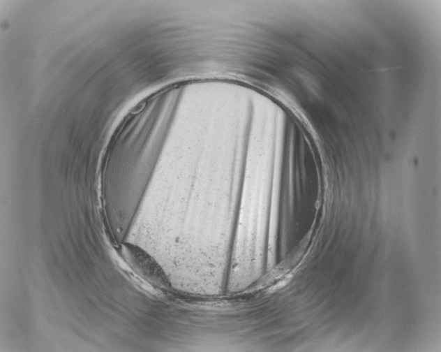 X0000052641388200507292254