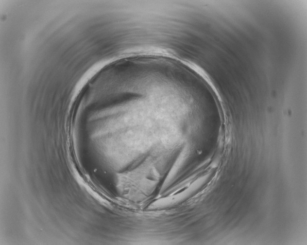 X0000052641389200507292254